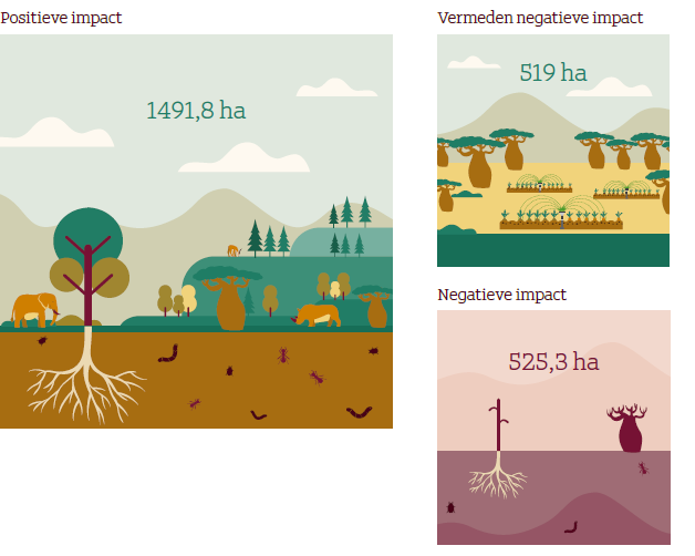 Verwachte impact op biodiversiteit van het ASN Biodiversiteitsfonds in 2024. Positieve impact 1491,8 ha. Vermeden negative impact 519 ha. Negatieve impact 525,3 ha. 