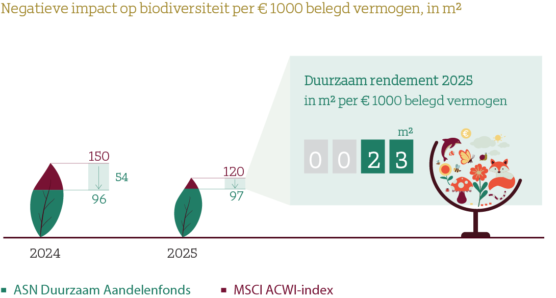 Vergelijking van de negatieve impact op biodiversiteit per &euro;1.000 belegd vermogen. In 2025 was de impact 97 m&sup2; voor het ASN Duurzaam Aandelenfonds tegenover 120 m&sup2; voor de MSCI ACWI-index. Het duurzame rendement was 23 m&sup2;.