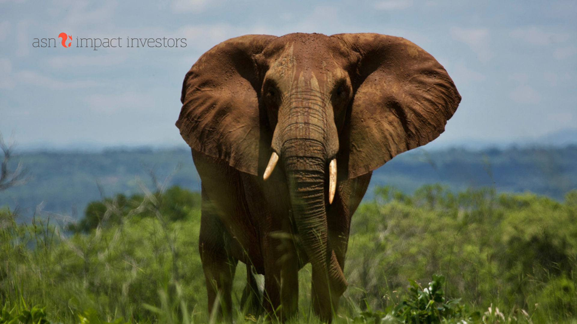 Zo versterkt ecotoerisme de biodiversiteit in Afrika