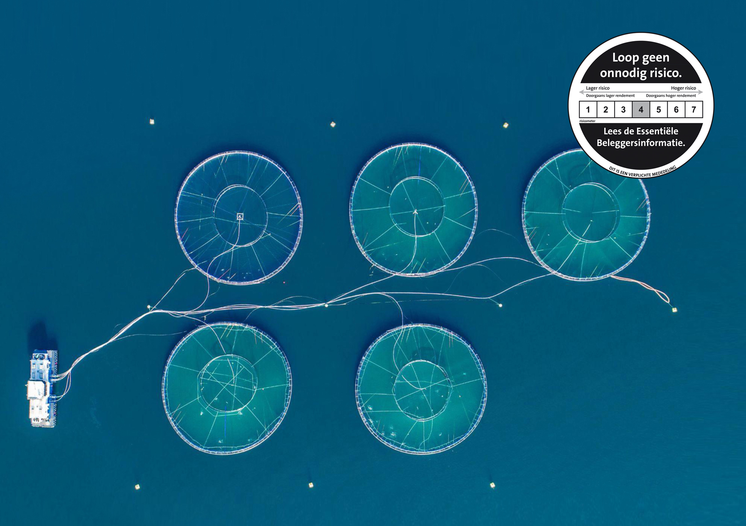 Oceanen beschermen en gezonde eiwitten produceren: de rol van Blue Revolution in de de seafood transition  