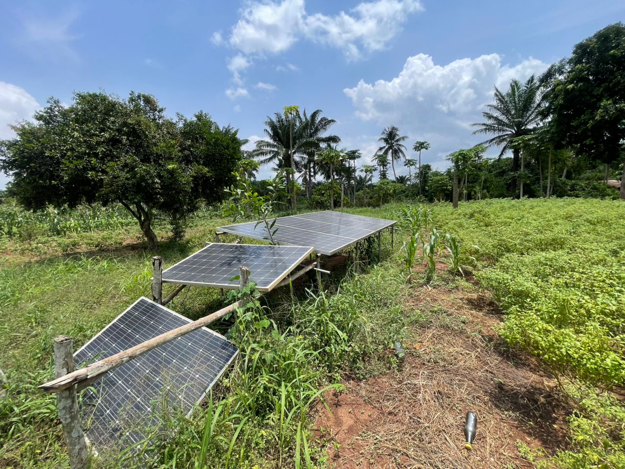 Investeren in financiële inclusie en een grotere weerbaarheid tegen klimaatverandering in Benin